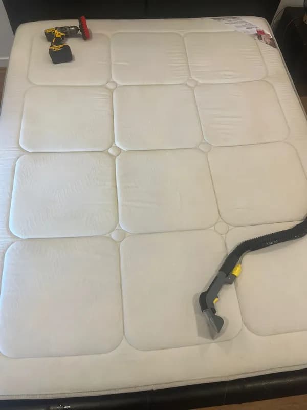 Réalisation Pure Clean Auto 38